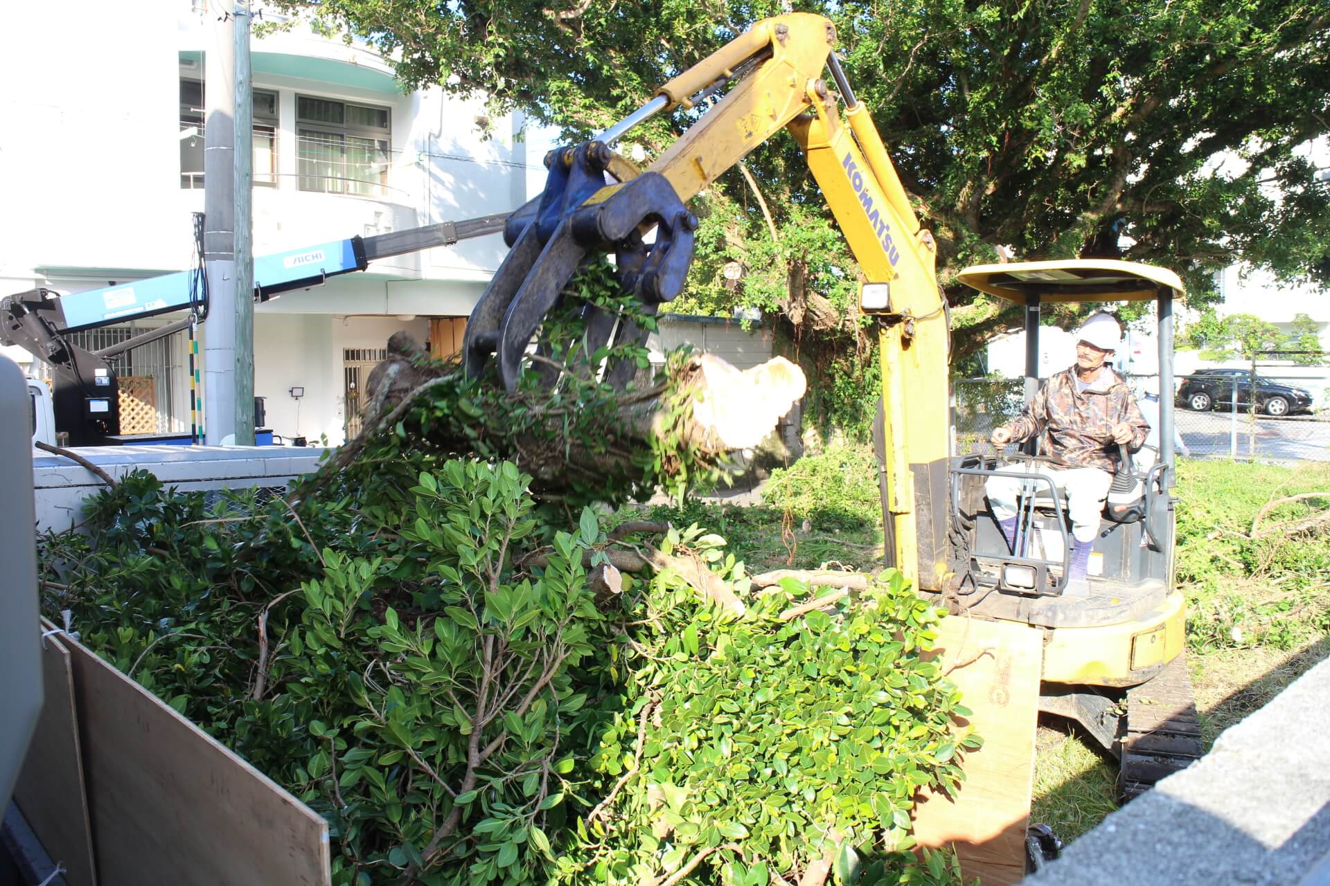 巨木ガジュマルの伐採・除根作業@北谷町 | 那覇造園土木|沖縄の伐採・伐開整地工事はお任せください Warning : Use of ...
